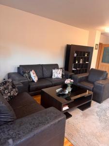 een woonkamer met een bank en een salontafel bij Aquae Lux apartment in Sarajevo