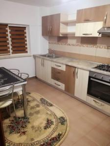 Køkken eller tekøkken på Vila Prundu Mic CASA Pitești