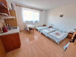 Postel nebo postele na pokoji v ubytování Modrý dom