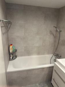 a bathroom with a shower and a white bath tub at Alpenblick Loft neben Skilift in Amden Arvenbüel in Amden +44 photos