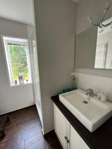 un bagno con un lavandino bianco e una finestra di Banvaktstuga anno 1905 a Fliseryd