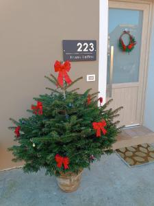 ピサにあるHouse Delfinaのギャラリーの写真