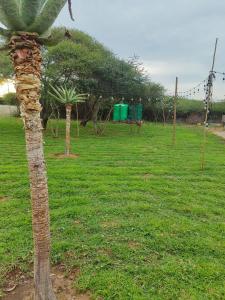 Zahrada ubytování Caysa + 11 fotografií