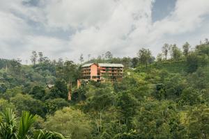 a building on top of a hill with trees at Te Dalu Resort & Spa in Ella