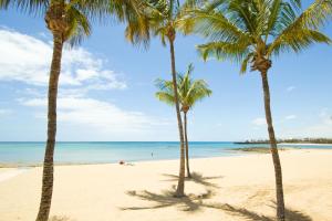 due palme su una spiaggia con l'oceano di Kendall Luxury ad Arrecife Altre 3 foto