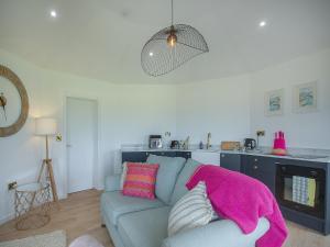 a living room with a blue couch with pink pillows at The Nest - Uk50122 in Bodelwyddan