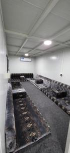 NafīrLawrence的相册照片