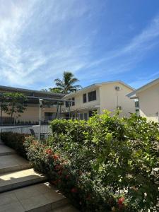 Zahrada ubytování Hotel Bella Tamarindo Guanacaste + 22 fotografií