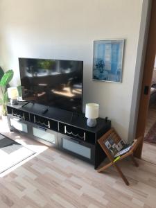 a living room with a large flat screen tv at Langø, ferielejlighed in Nakskov