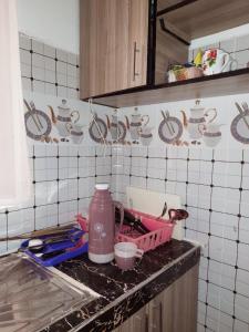 Kuchyň nebo kuchyňský kout v ubytování Mwembeni Abode