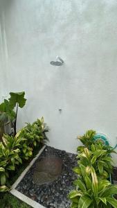 een bord aan de zijkant van een muur met planten bij Honeymoon Villa canggu in Sempidi