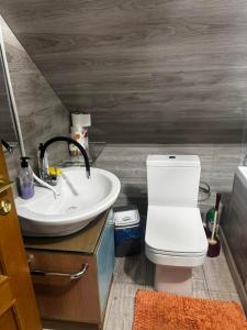 a bathroom with a sink and a toilet at Ismail&Stefan in Chişinău