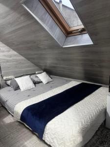 a bedroom with a large bed with a skylight at Ismail&Stefan in Chişinău