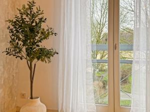 a plant in a vase next to a window at L'Ecrin - Spacieux & Garage Privé - Calme à 5minutes de Rennes in Pacé