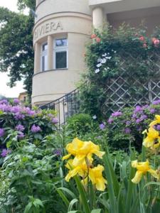 un giardino con fiori gialli di fronte a un edificio di Villa Riviera a Praga