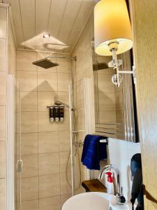 a bathroom with a shower and a sink at der Elbe so nah 2 in Dömitz +16 photos