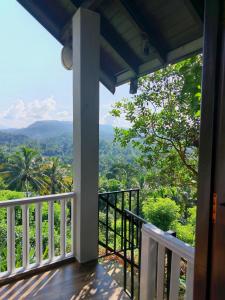 Μπαλκόνι ή βεράντα στο Rainforest Nature House +76 φωτογραφίες