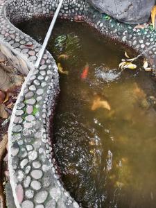 a pool of water with a stick in it at Chill-Inn near Surabaya Zoo Syariah in Surabaya
