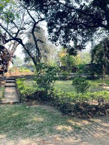 Zahrada ubytování Henderson street lodge