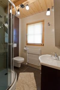 een badkamer met een wastafel, een toilet en een douche bij Gorczański Domek - Koninki in Poręba Wielka