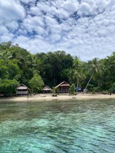 YariffiにあるYenaiwon Homestay Raja Ampatの熱帯の小屋と水のあるビーチ +17枚の写真