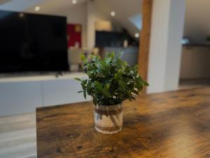 Fotografie z fotogalerie ubytování Dachgeschosswohnung im Herzen von Ravensburg v destinaci Ravensburg