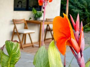 an orange flower in front of a table and a chair at Entire Casita Ocean Breeze & Forest Calm in Troncones +5 photos
