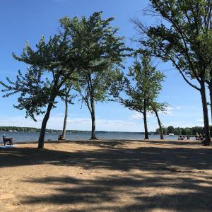 eine Gruppe von Bäumen an einem Strand in der Nähe des Wassers in der Unterkunft Lake Milton 3BR Home in Abbeyville