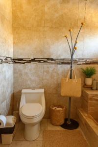 a bathroom with a toilet and a plant in it at Casa Deluxe Hotel Talara in Talara +25 photos