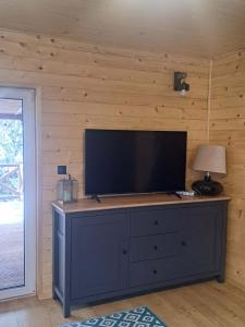 a tv on top of a dresser in a room at Juraszówka in Kamesznica +22 photos