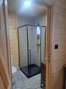 a glass shower in a bathroom with a toilet at Juraszówka in Kamesznica