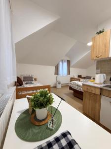 Кухня или мини-кухня в Vila Aurora , 50m od Gondole Brzece
