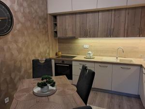 Kuchyň nebo kuchyňský kout v ubytování Apartmán Vitalis - Rezidencia Amélia