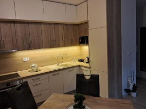 Kuchyň nebo kuchyňský kout v ubytování Apartmán Vitalis - Rezidencia Amélia + 16 fotografií