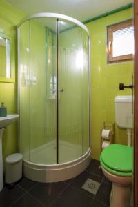 a green bathroom with a shower and a toilet at Morning Star River Retreat in Belgrade