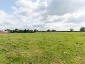 un grande campo di erba verde con animali al suo interno di Silver Cottage a Scruton