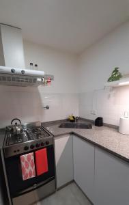 een keuken met een fornuis en een spoelbak bij Departamento Venthos in Puerto Madryn +9 foto's