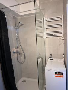 une petite salle de bain avec douche et toilettes dans l'établissement STUDIO 50m de gare de st-louis, à Saint-Louis