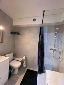 une salle de bain avec toilettes et douche dans l'établissement STUDIO 50m de gare de st-louis, à Saint-Louis