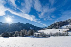 Příroda nedaleko hotelu