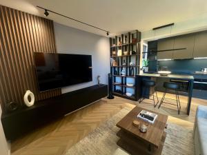 Et tv og/eller underholdning på Oliwa luxury apartment, free parking, high speed internet