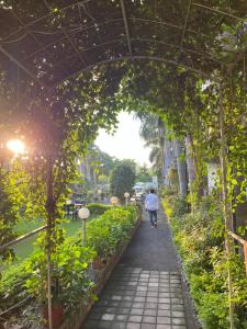 O grădină în afara Madhuban Garden And Resort