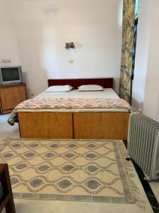 un dormitorio con una cama y una alfombra en Hotel Karni Niwas, en Jaipur