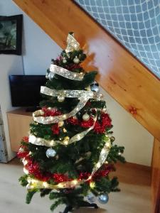 Un árbol de Navidad con adornos plateados y rojos. en Melisa's Holiday Home, en Mostec