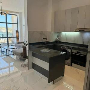 eine Küche mit Spüle und Geschirrspüler in der Unterkunft Le Paradis Du Figuier in Boumerdes