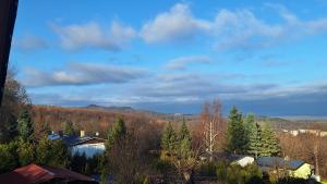 Blick auf ein Haus im Wald in der Unterkunft Ferienhaus Burgblick in Blankenburg in Michaelstein