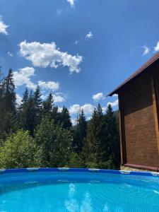 a large swimming pool with trees in the background at Котеджі Сім Вітрів in Volosyanka