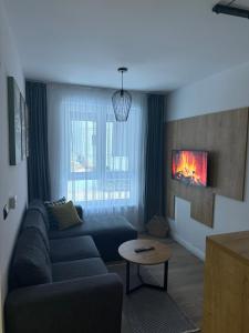Una sala de estar con un sofá y una chimenea. en Apartman ISKRA Villa Mont, en Jahorina