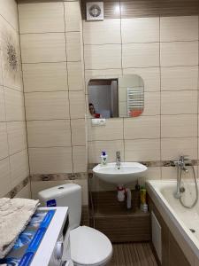 a bathroom with a sink and a toilet and a mirror at Апарт Отель Элин in Svalyava +3 photos