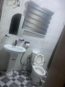 a bathroom with a toilet and a sink at Flexy Short-let in Sagamu +7 photos